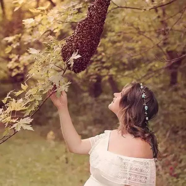 孕妇与几万只蜜蜂的孕照，看完我惊呆了