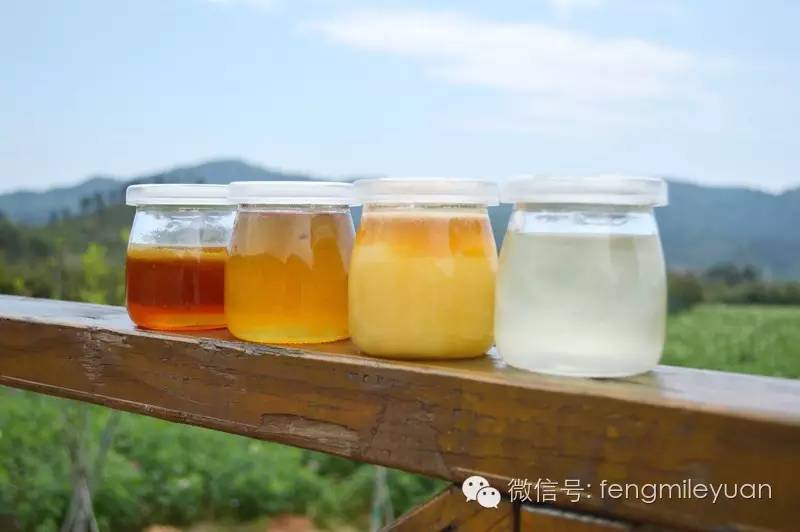 肺炎能喝蜂蜜吗 抹茶蜂蜜面膜 蜂蜜箱子怎么做 蜂蜜牛奶面膜 蜂蜜冬糖卖多少钱一斤
