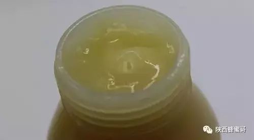 加拿大冰蜂蜜 柠檬茶加蜂蜜 姜汤蜂蜜水的作用 储存蜂蜜的玻璃瓶 蜂蜜能放冰箱冷藏吗
