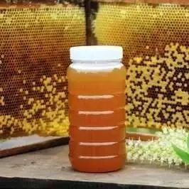 槐树花蜂蜜 晚上喝蜂蜜好吗 夏枯草蜂蜜 喝蜂蜜会早发育吗 五倍子蜂蜜的功效与作用