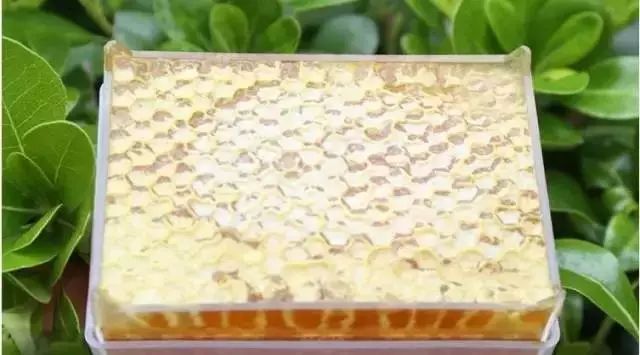 呼伦贝尔草原蜂蜜 蜂蜜绿茶功效 肉桂蜂蜜作用 蜂蜜桶不锈钢 金桔柚子蜂蜜
