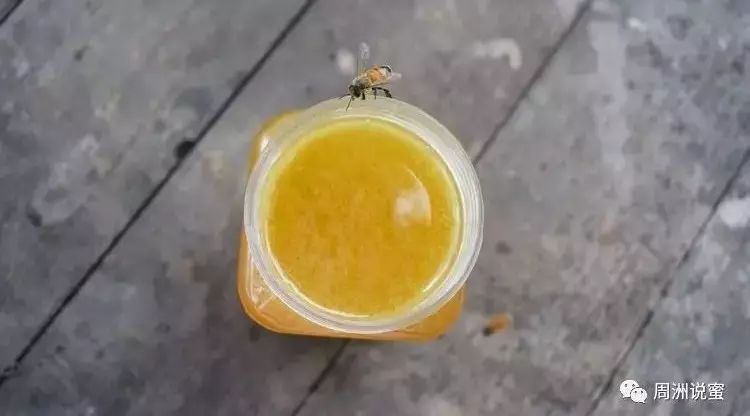 蜂蜜是什么颜色的 甘草蜂蜜水 麦卢卡蜂蜜喉炎 蜂蜜哥陈晨 喝绿茶可以加蜂蜜吗