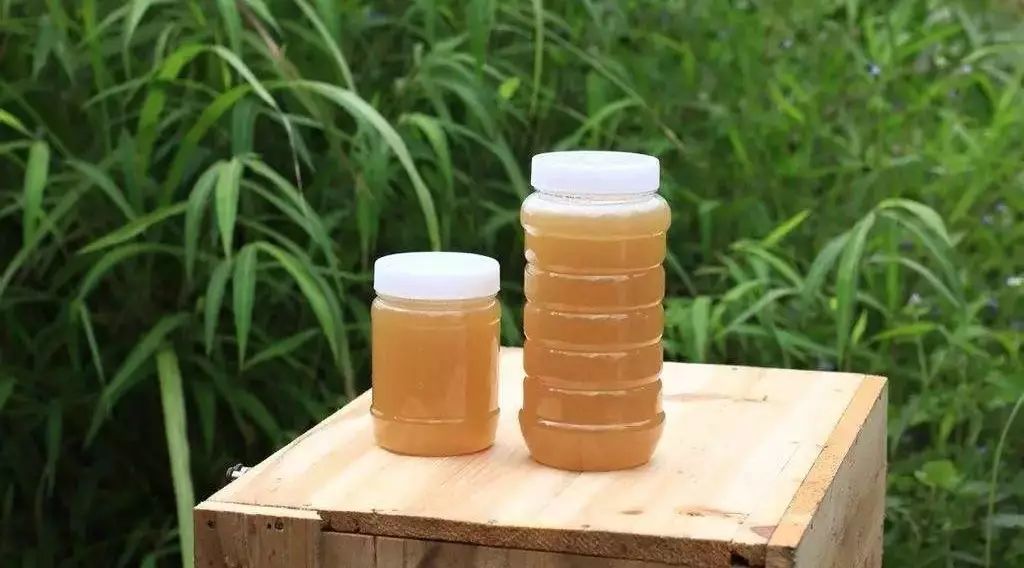 减肥蜂蜜柠檬茶 纯白色的蜂蜜 柠檬蜂蜜发酵了能喝吗 蜂蜜水什么时候喝好 为什么有白色的蜂蜜