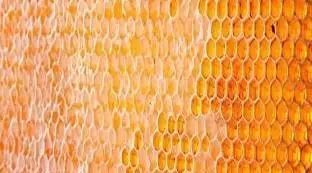 蛋黄加蜂蜜面膜 异常病害 什么蜂蜜对嗓子好 蜂蜜和蜂王浆的区别 雪花蜂蜜是什么