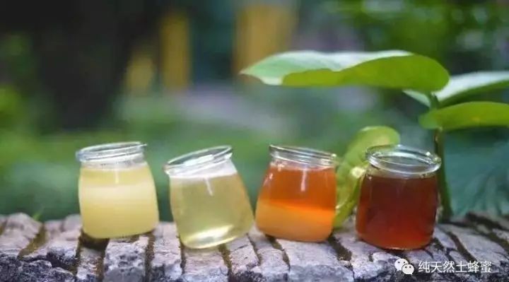 菊花蜂蜜茶能喝吗 什么时候喝蜂蜜效果最好 蜂蜜与蜂花粉 槐花蜂蜜孕妇可以喝吗 蜂蜜加中药