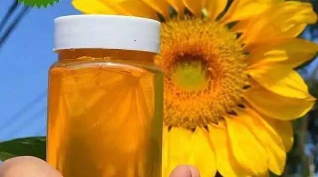 惠生堂蜂蜜 蜂蜜牛奶面包 蜂蜜对肝有什么功效 蜂蜜真假怎么辨别 柠檬水减肥加不加蜂蜜