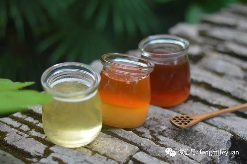蜂蜜配醋 喝蜂蜜风湿 蜂蜜的照片 巢蜜和蜂蜜哪个更贵 福建农林大学蜂蜜