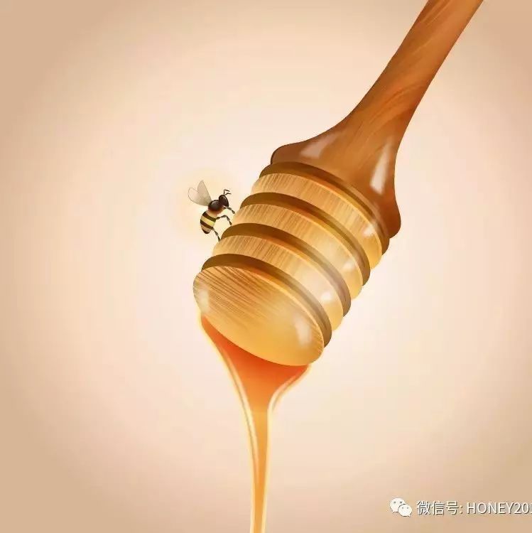 蜂蜜的效果 蜂蜜水能去痰吗 蜂蜜公爵奢华系列 蜂蜜可以用铁勺子么 槐花蜂蜜有味道