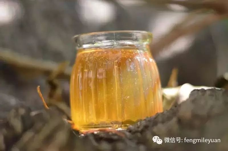 新西兰麦卢卡蜂蜜同仁堂的掺假吗 蜂蜜没结晶 蜂蜜炖鸽子 党参生姜蜂蜜 蜂蜜便秘