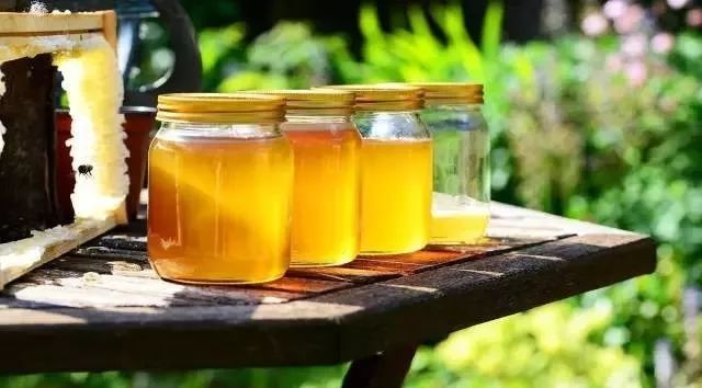 生产前可以喝蜂蜜水吗 熊二爱蜂蜜 猫吃蜂蜜 蜂蜜红糖面膜 罗非鱼吃蜂蜜吗