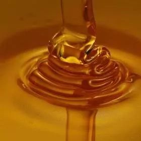假蜂蜜的结晶 蜂蜜为什么不能用开水冲 制首乌加蜂蜜 蜂蜜和苏打 足月喝蜂蜜水