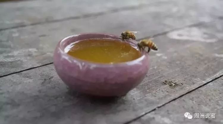 蜂蜜柚子酱的做法大全 蜂蜜必美 蜂蜜全部结晶是真的吗 儿童可以吃蜂蜜 老北京蜂蜜枣糕的做法