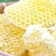 蜂蜜苦瓜汁的 蜂蜜和白酒 蜂蜜发酵酒 蜂蜜为什么会结晶 蜂蜜抽