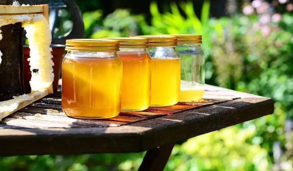 假蜂蜜糖 蜂蜜柚子茶面包机 柠檬蜂蜜酵素的做法 蜂蜜带出国 睡前喝一杯蜂蜜水好吗