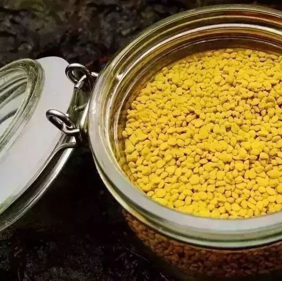 蜂蜜和紫薯能一起吃吗 止咳蜂蜜水 香港买新西兰蜂蜜 青海的蜂蜜 蜂蜜怎么喝才能减肥
