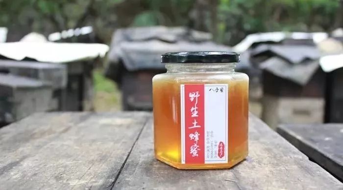 钓鱼加蜂蜜钓什么鱼 赵氏蜂蜜 蒸蛤膜油啥事放蜂蜜 桂花蜂蜜怎么吃 蜂蜜水小孩可以喝吗
