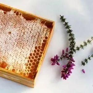 香蕉沾蜂蜜能减肥吗 蜂蜜如何分辨真假 蜂蜜上面有结晶 资生堂蜂蜜 1岁宝宝能喝蜂蜜水