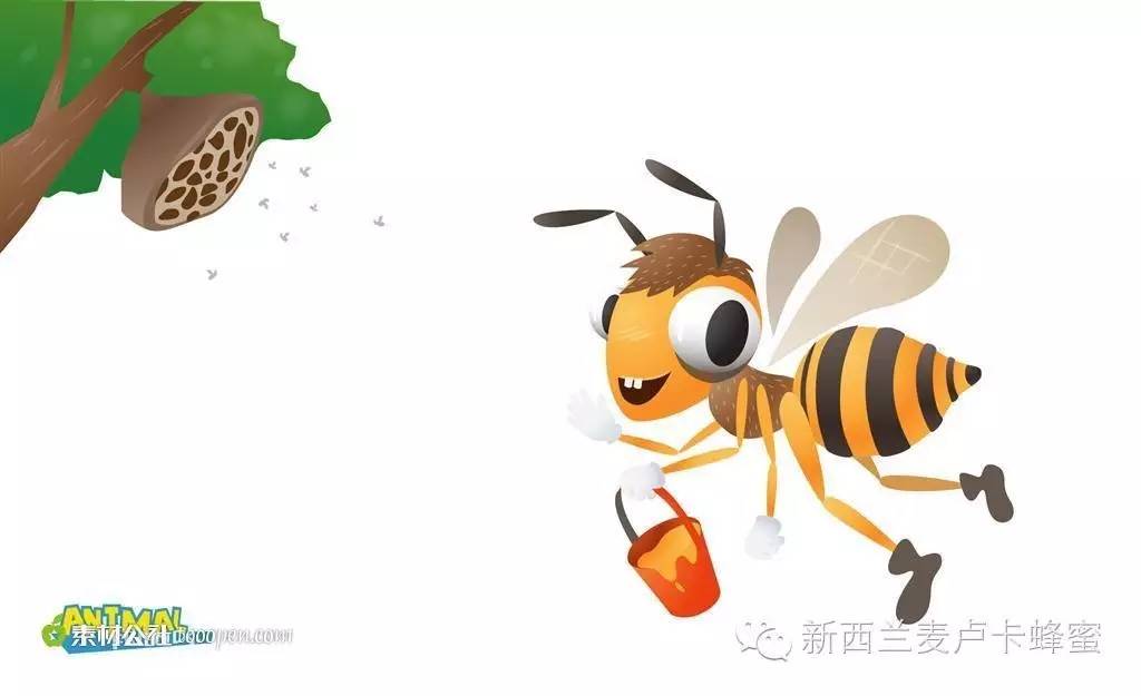 如何介绍蜂蜜 斯兰扎克黑蜂蜂蜜 蜂蜜滋润 农协蜂蜜柚子茶 黑熊吃蜂蜜