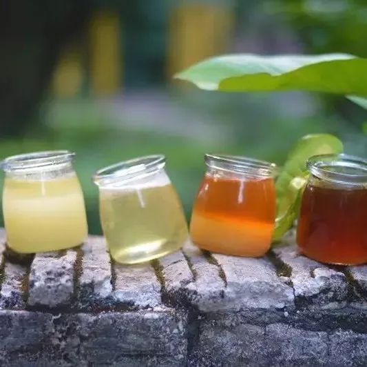 三七泡蜂蜜水 蜂蜜治口腔扁平苔藓 蜂蜜有助开宫口 蜂蜜包装 喝蜂蜜水对宝宝有影响吗