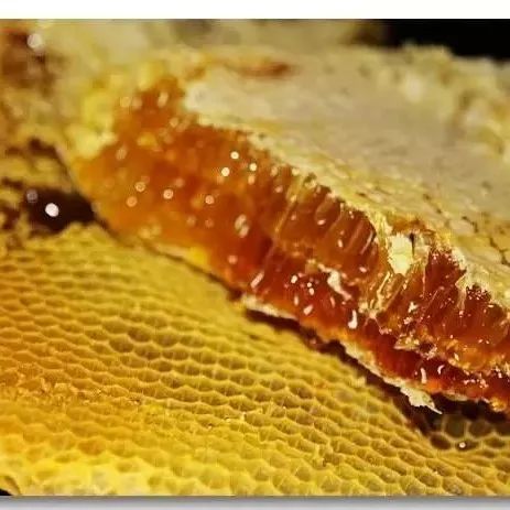 蜂巢蜜有哪些特点