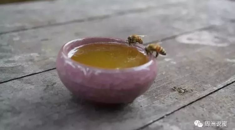 蜂蜜古 蜂蜜罐盖子坏了 柠檬片可以加蜂蜜吗 橄榄油加蜂蜜洗脸的好处 蜂蜜放冰箱里凝固
