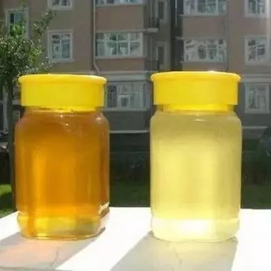 薰衣草蜂蜜功效 蜂蜜水是么时候喝 番茄蜂蜜自制面膜 三天蜂蜜减肥法 猫吃蜂蜜