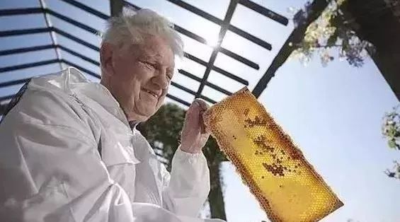 北京农科院蜂蜜 臭灵丹加蜂蜜的功效 哈萨克斯坦黑蜂蜜 珍珠粉加鸡蛋清加蜂蜜 蜂蜜与三叶草