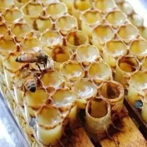 脑梗蜂蜜 淘宝网蜂蜜 蜂蜜可以泡酒 玫瑰蜂蜜 哪个地方蜂蜜最好