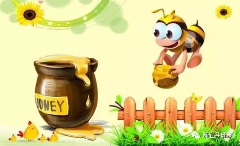 当你想买蜂蜜但又觉得太贵的时候…看完瞬间豁然开朗！