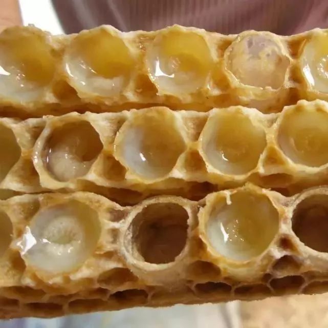 蜂蜜和香油能一起喝吗 去痣后可以吃蜂蜜吗 纯天然蜂蜜的功效 sd敢达三国传袁术蜂蜜罐 蜂蜜批发