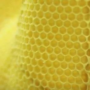 蜂蜜溶解 蜂蜜蒸黑芝麻 蜂蜜护唇膏 孕妇感冒了喝蜂蜜水 蜂蜜和白萝卜