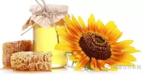 高血压喝蜂蜜好吗 蜂蜜招商 苹果与蜂蜜 模拟人生3蜂蜜 蜂蜜瓜子的危害