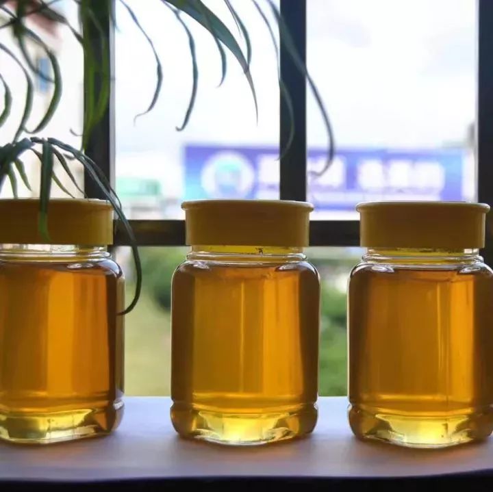 女人常喝蜂蜜水不好 经常喝蜂蜜会长胖吗 宝宝吃了蜂蜜怎么办 癌症病人能吃蜂蜜吗 新西兰麦卢卡蜂蜜功效