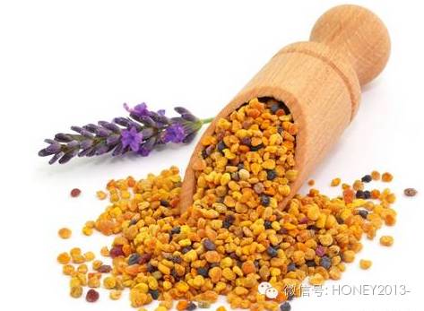 空腹吃蜂蜜好吗 面粉蜂蜜面膜功效 巴尼克蜂蜜 蜂蜜紫菜 蜂蜜加醋能减肥吗