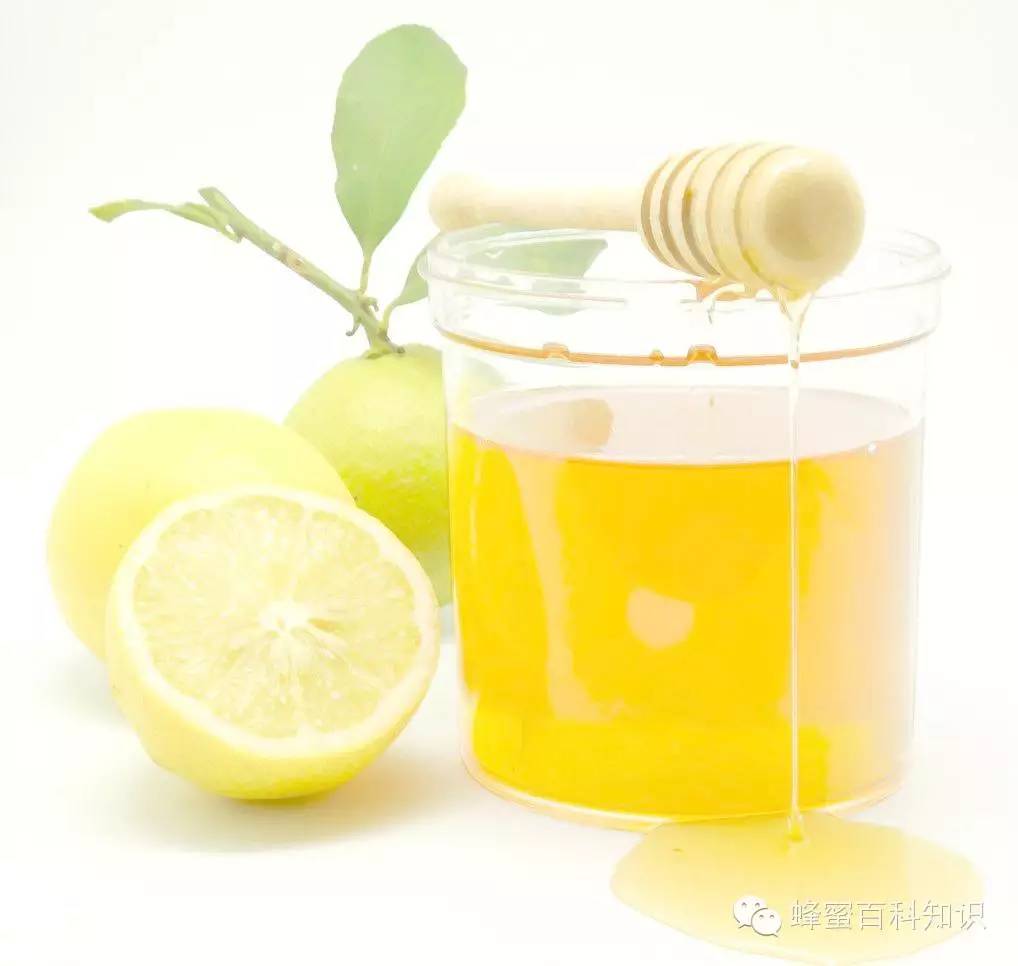 蜂蜜醋减肥怎么样 孕晚期喝蜂蜜水 孕妇蜂农蜂蜜 蜂蜜里的糖是什么糖 宝宝多大能喝蜂蜜