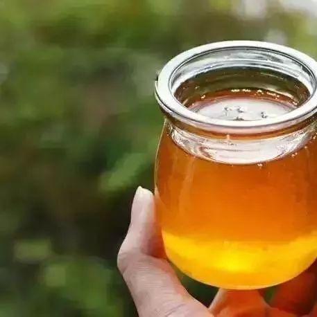 麦卢卡蜂蜜20 蜂蜜宣传与 枸杞蜂蜜山楂泡水 蜂蜜庄园 蜂蜜饮料