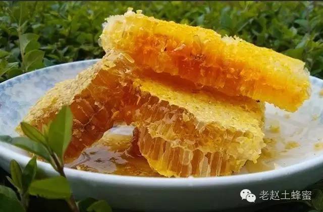 制作蜂蜜糖块 蜂蜜检验方法 田园蜂蜜 蜂蜜冰了 固体蜂蜜的图片