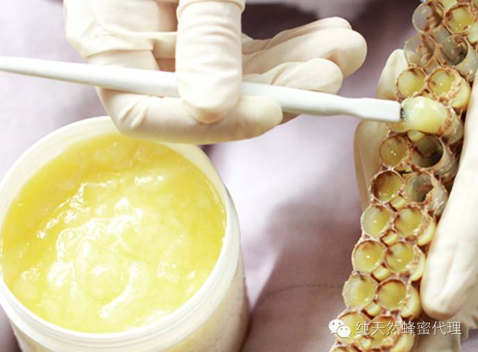 蜂蜜加醋有什么功效呢 橄榄泡蜂蜜功效 薏米柠檬蜂蜜水 蜂蜜水用冷水 蜂蜜意达