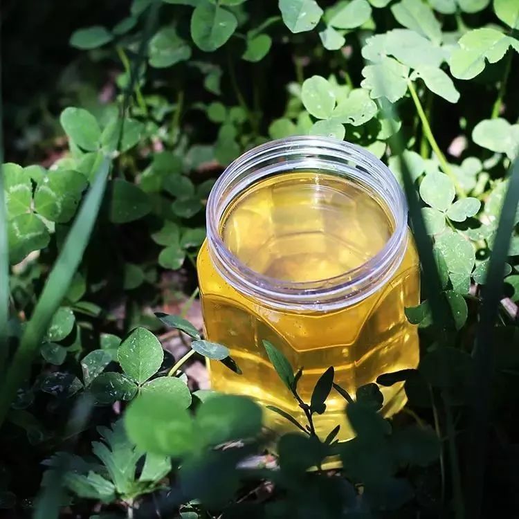 蜂蜜的美食 体寒的人能喝蜂蜜水吗 夏枯草蜂蜜 枸杞菊花茶可以加蜂蜜吗 蜂蜜鉴定化学试剂