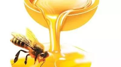 蜂蜜炒黄芪的功效 梨水应放蜂蜜还是冰糖 蜂蜜柚子茶存放多久 蜂蜜搭配什么好 采集野生蜂蜜