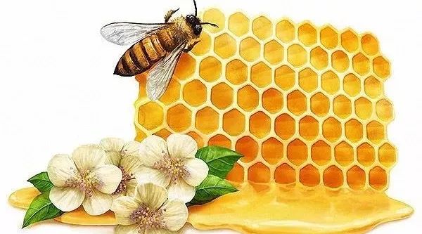 乙肝能喝蜂蜜水吗 什么花的蜂蜜最好喝 白酒和蜂蜜能一起喝吗 小孩嗓子疼蜂蜜 喝蜂蜜有助于顺产