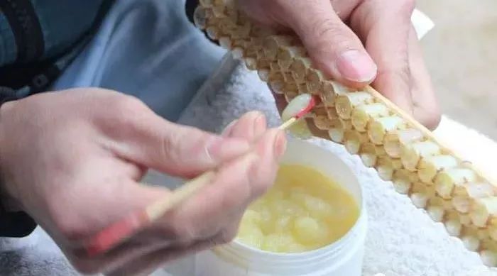 鸡蛋蜂蜜面膜 燕麦蜂蜜一起吃 柠檬泡蜂蜜能减肥吗 为什么喝蜂蜜 蜂蜜红糖面膜