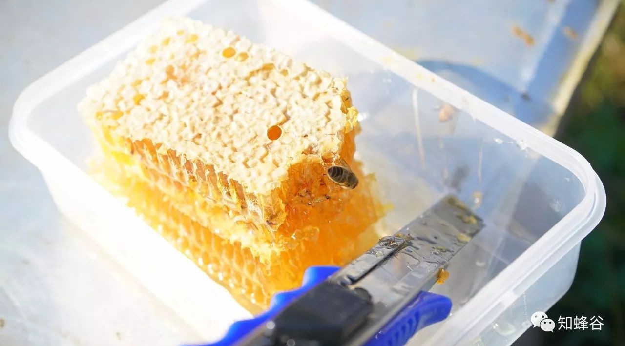蜂蜜水能降血压吗 电工卖假蜂蜜 沙棘果蜂蜜 孕妇可不可以喝蜂蜜 香蕉蜂蜜减肥法