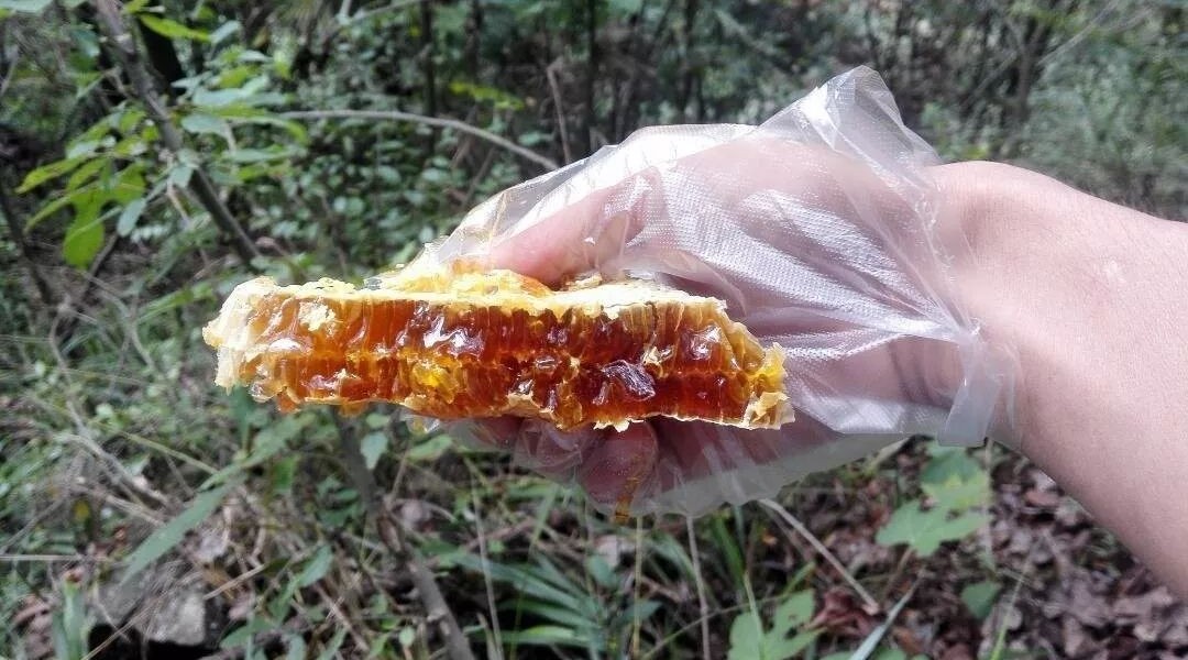 蜂蜜紫薯泥 冠生园哪种蜂蜜好 宜昌哪里的蜂蜜好 蜂蜜促销策划书 野生蜂蜜的作用与功效