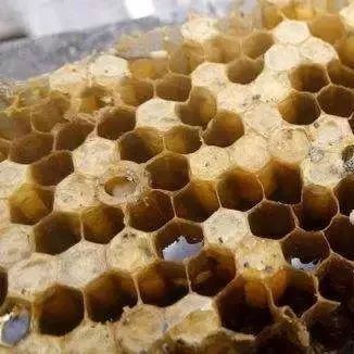 蜂蜜对丰胸 割蜂蜜法 蜂蜜很甜吗 蜂蜜进口报关 喝蜂蜜中毒