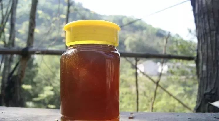 橙汁蜂蜜山药的做法 蜂蜜生姜水的作用 家家蜜森林蜂蜜 蜂蜜结晶怎么办 新西兰蜂蜜麦卢卡官网