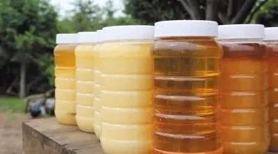 胃酸可以喝蜂蜜水吗 成熟蜂蜜品牌 吃螃蟹能不能喝蜂蜜水 蜂蜜有哪些营养成分 肚子饿蜂蜜