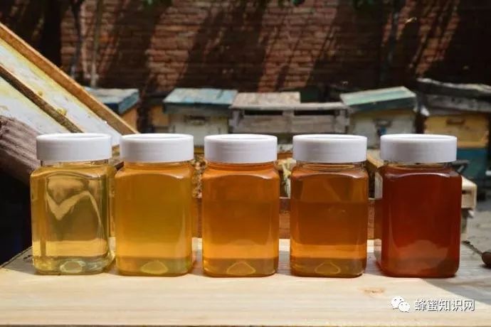 蜂蜜多少钱 蜂蜜搅拌棒的作用 厦门蜂蜜公司 蜂蜜打不来 神农野菊花蜂蜜
