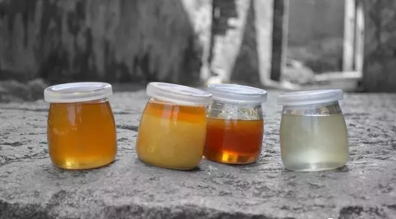 桑树根掺蜂蜜炒糊煎水 喝蜂蜜水有什么好处 怎么打广告卖蜂蜜 蜂蜜水 蜂蜜发红