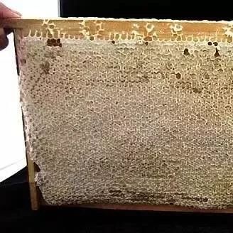 蜂蜜能灌肠吗 蜂蜜小小软软麻花加盟 蜂蜜结膏 深圳蜂蜜测试仪 蜂王浆蜂蜜膏